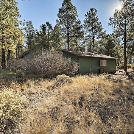 Serene Forested Home Trailer Parking&Horse Pen Flagstaff Exterior foto