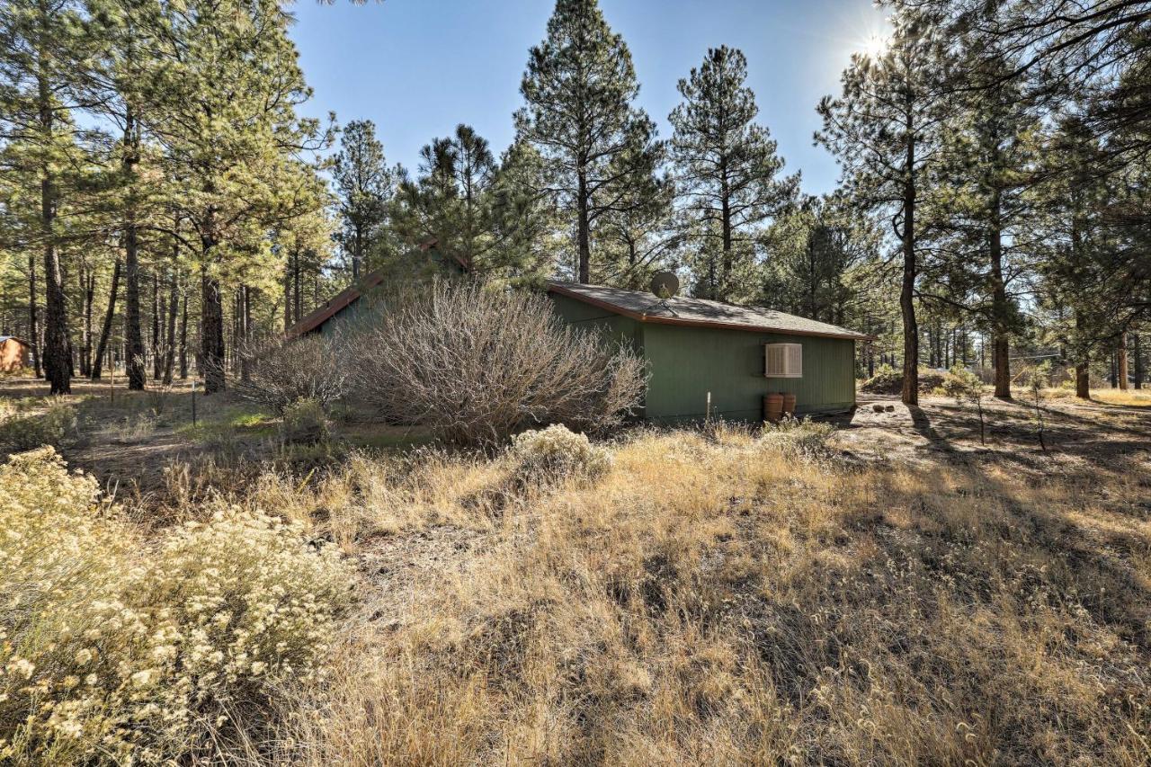 Serene Forested Home Trailer Parking&Horse Pen Flagstaff Exterior foto