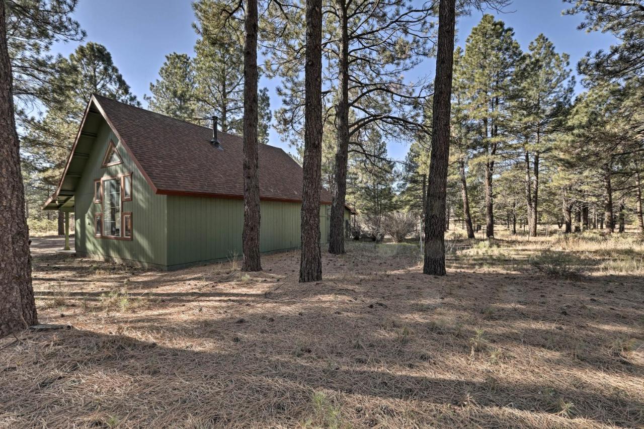 Serene Forested Home Trailer Parking&Horse Pen Flagstaff Exterior foto